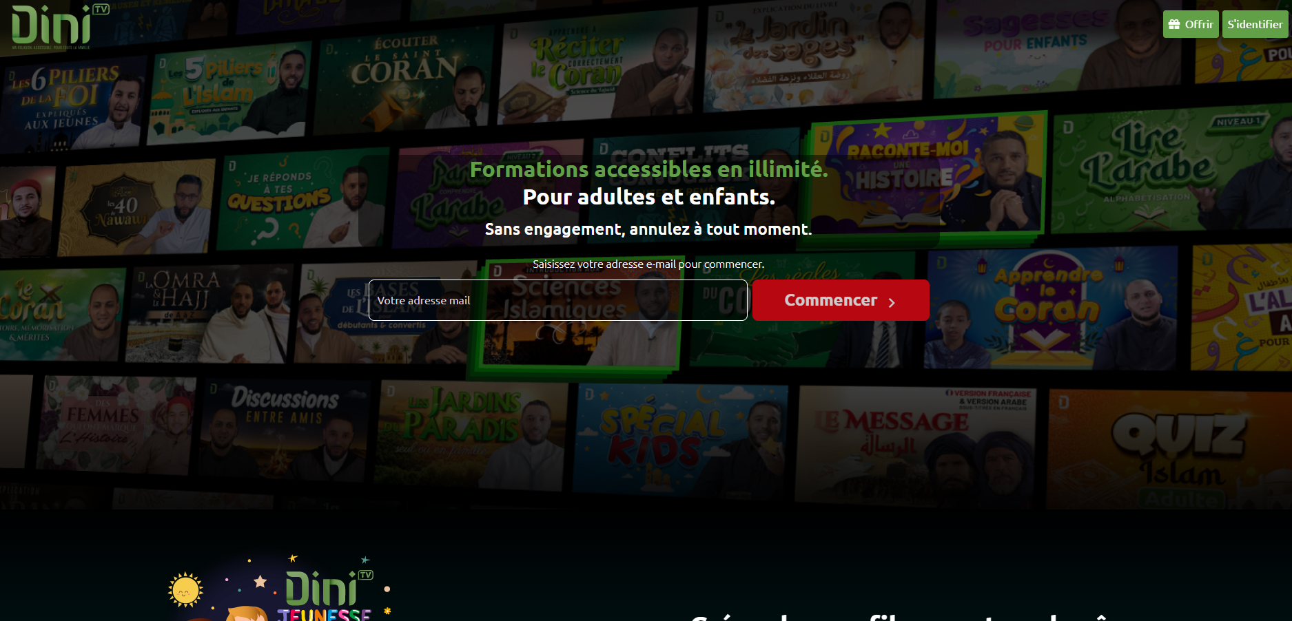Plateforme de streaming